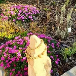 Apartament Sloboda